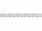 E24N170W65 FLEXIBELE LEDSTRIP - WIT 6500K - 240 LEDs/m - 5 m - 24 V - IP20 - CRI90