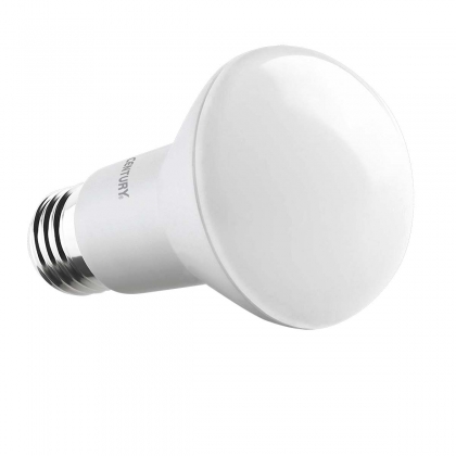 LED-Lamp E27 R63 8 W 806 lm 3000 K