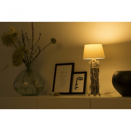 SMARTLIGHT110 Slimme filament LED-lamp met Wi-Fi