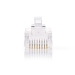 RJ45-Connector | Male | Stranded UTP CAT5 | Recht | Verguld | 10 Stuks | PVC | Transparant | Doos