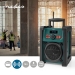 DAB+ Radio | Bouwradio | DAB+ / FM | 2.2 " | Zwart-Wit Scherm | Batterij Gevoed / Netvoeding | Digitaal | 15 W | Bluetooth® | Wekker | Slaaptimer | IP65 | Handgreep | Groen / Zwart