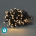 SmartLife-kerstverlichting | Koord | Wi-Fi | Warm Wit | 50 LED's | 5.00 m | Android™ / IOS