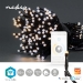 SmartLife-kerstverlichting | Koord | Wi-Fi | Warm tot Koel Wit | 100 LED's | 10.0 m | Android™ / IOS